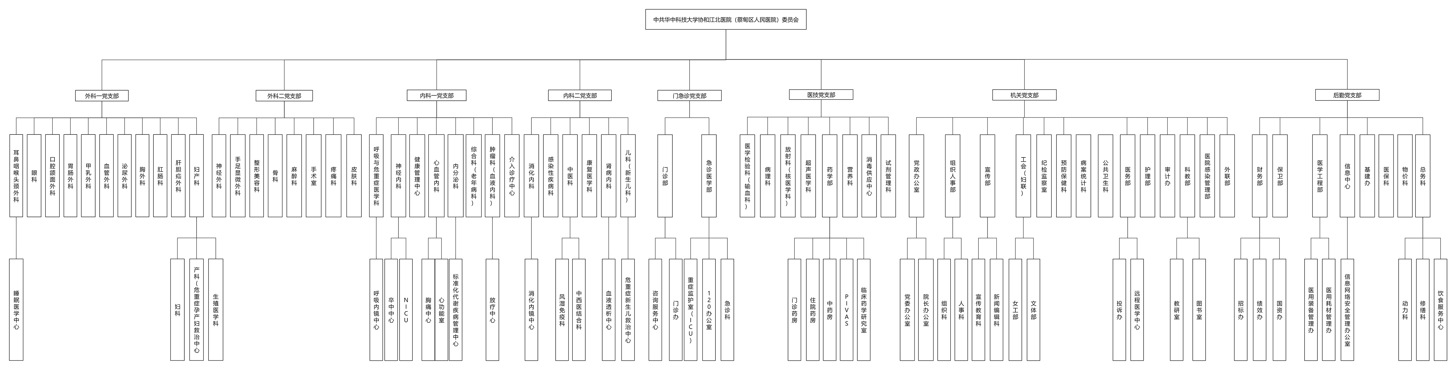 中共协和江北医院委员会支部组织架构图