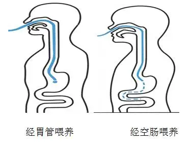 微信图片_20210512102833