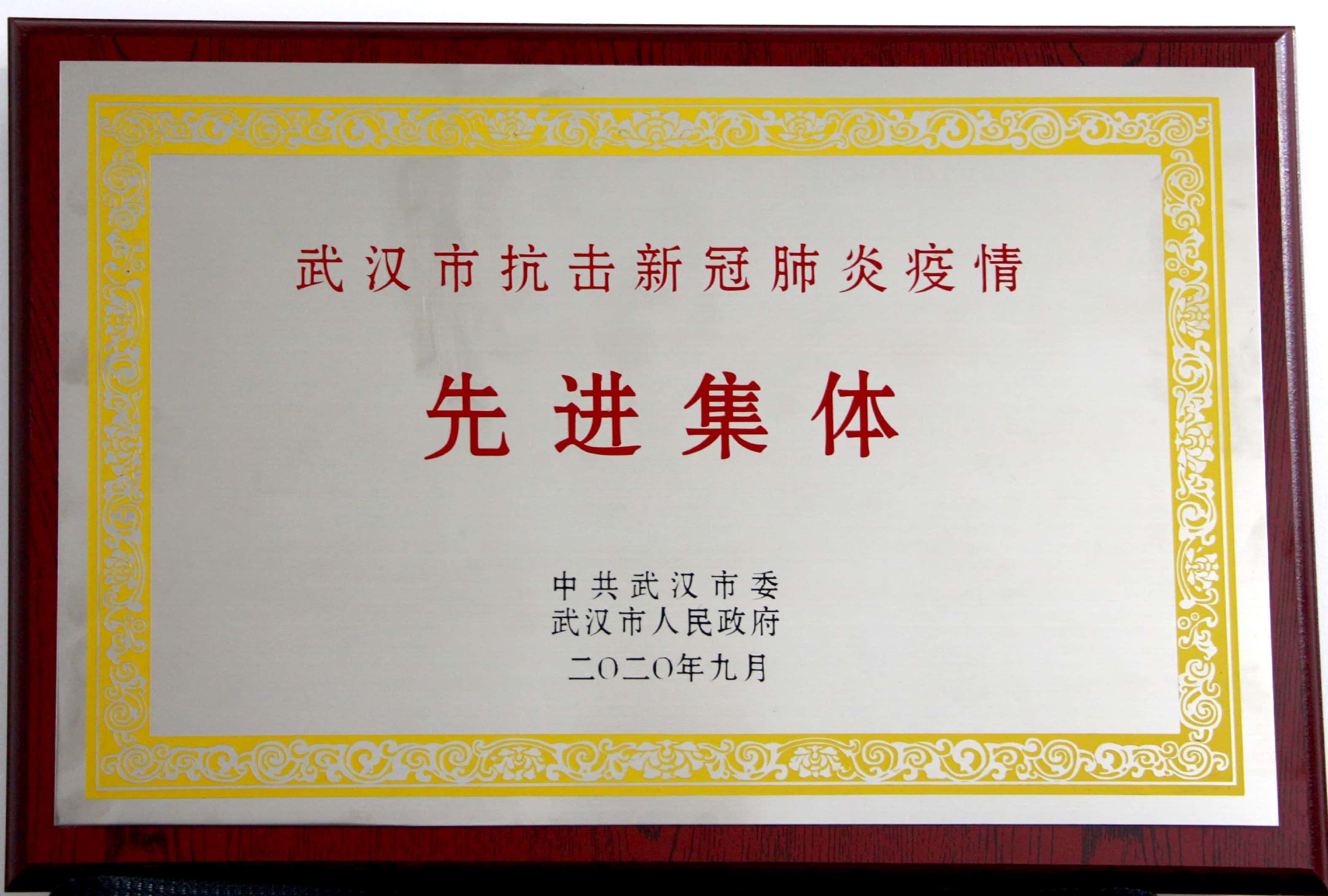 武汉市抗击疫情先进集体
