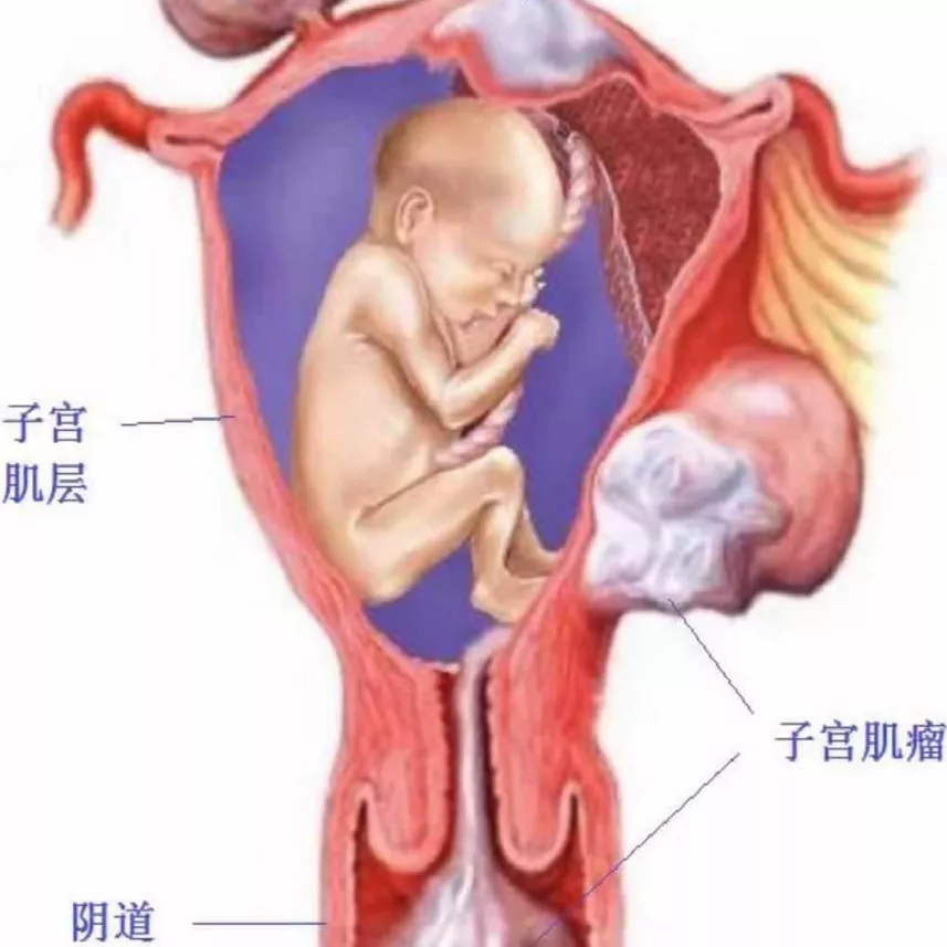 微信图片_20210908082550