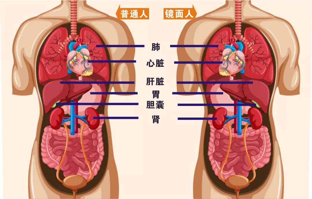 微信图片_20211110083457