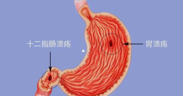 微信图片_20211117080638