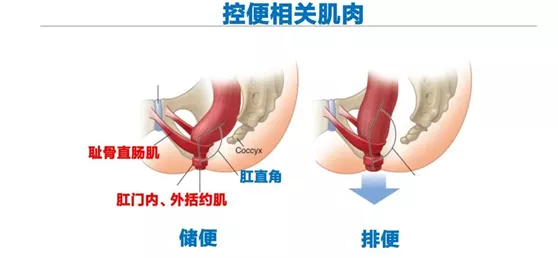 微信图片_20211117144802